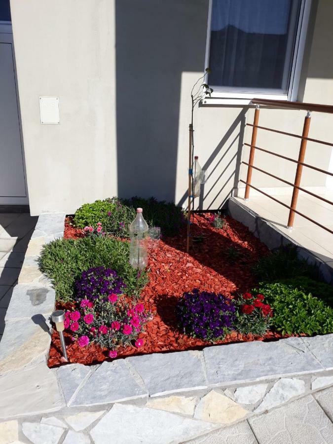 Simica Cose Διαμέρισμα Vrdnik Εξωτερικό φωτογραφία